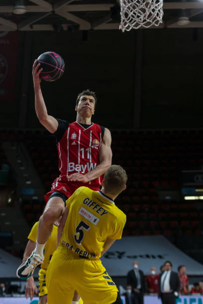 松的热爱 松的热爱