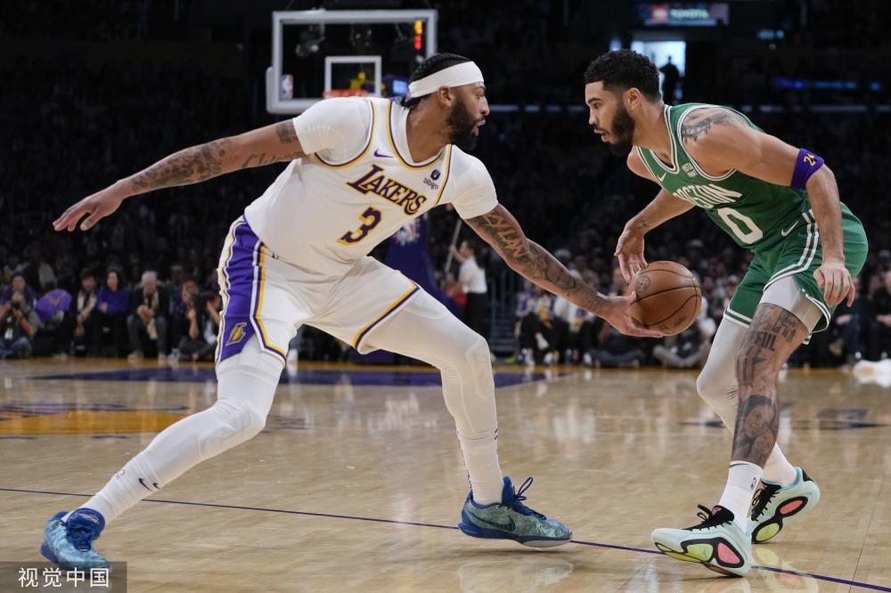 布局和SE 布局和SE